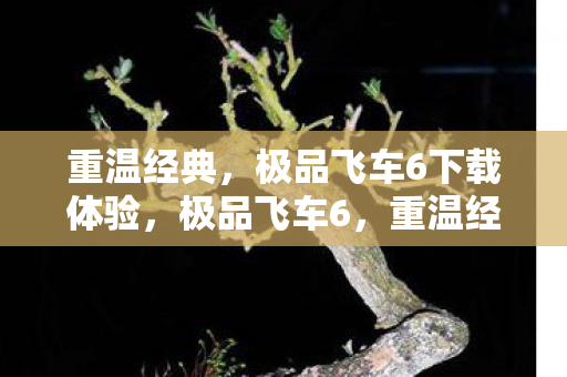 重温经典,极品飞车6下载体验,极品飞车6,重温经典,下载体验 重温经典,极品飞车6下载体验,极品飞车6,重温经典,下载体验