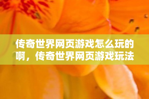 传奇世界网页游戏怎么玩的啊图片