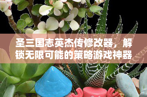 圣三国志英杰传修改器，解锁无限可能的策略游戏神器，圣三国志英杰传修改器，解锁策略游戏无限可能的神器