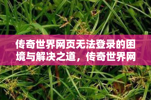 传奇世界网页无法登录的困境与解决之道图片