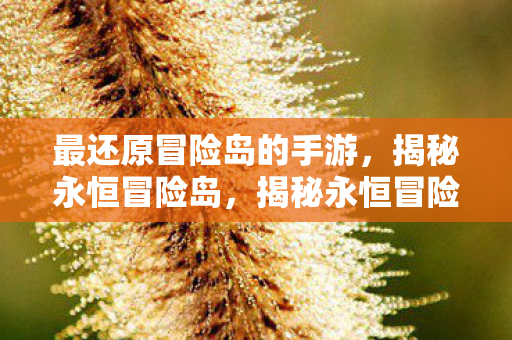 最还原冒险岛的手游图片