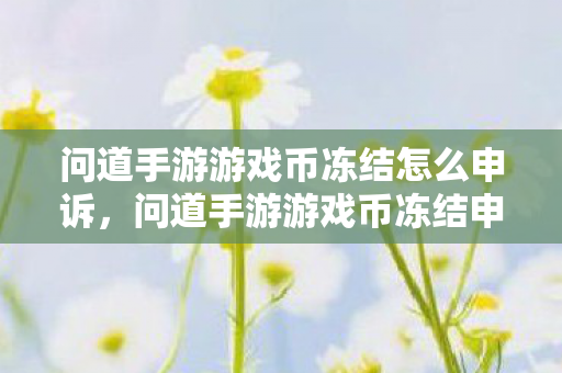 问道手游游戏币冻结怎么申诉，问道手游游戏币冻结申诉攻略