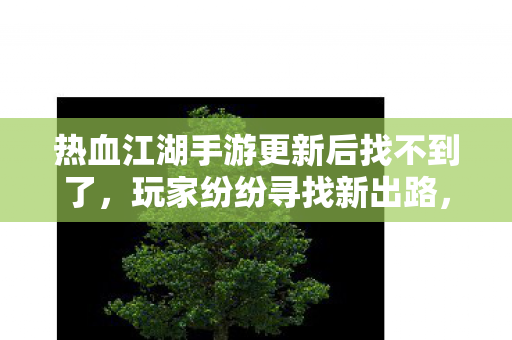 热血江湖手游更新后找不到了图片