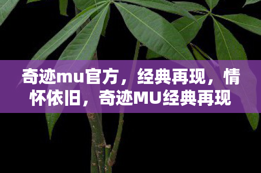 奇迹mu官方，经典再现，情怀依旧，奇迹MU经典再现，情怀依旧