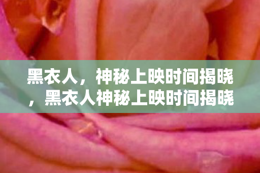 黑衣人,神秘上映时间揭晓,黑衣人神秘上映时间揭晓 黑衣人,神秘上映时间揭晓,黑衣人神秘上映时间揭晓