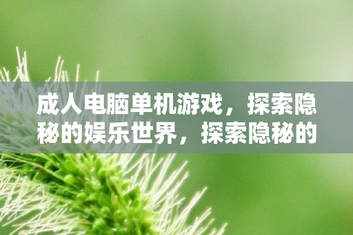 成人电脑单机游戏,探索隐秘的娱乐世界,探索隐秘的娱乐世界,成人电脑单机游戏 成人电脑单机游戏,探索隐秘的娱乐世界,探索隐秘的娱乐世界,成人电脑单机游戏