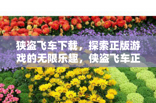 狭盗飞车下载,探索正版游戏的无限乐趣,侠盗飞车正版下载,探索游戏世界的无限乐趣 狭盗飞车下载,探索正版游戏的无限乐趣,侠盗飞车正版下载,探索游戏世界的无限乐趣