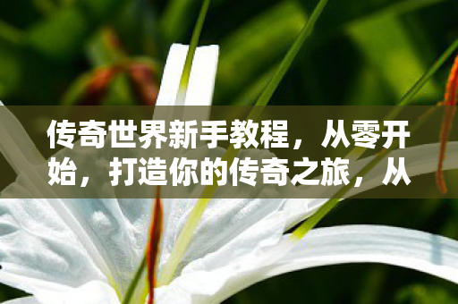 传奇世界新手教程,从零开始,打造你的传奇之旅,从零开始打造传奇之旅,传奇世界新手教程 传奇世界新手教程,从零开始,打造你的传奇之旅,从零开始打造传奇之旅,传奇世界新手教程