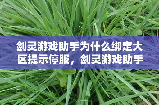 剑灵游戏助手绑定大区遭遇停服问题解析图片