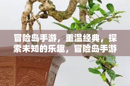 探索未知的乐趣图片