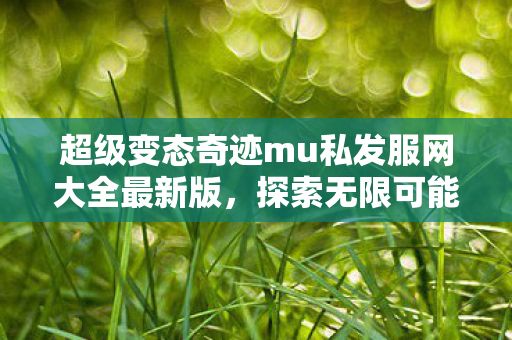 超级变态奇迹mu私发服网大全最新版，探索无限可能的奇迹世界，探索奇迹世界，超级变态奇迹mu私发服网大全最新版