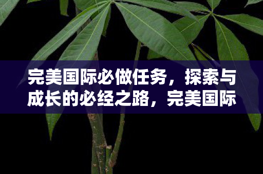 完美国际必做任务,探索与成长的必经之路,完美国际必做任务,探索与成长的必经之路 完美国际必做任务,探索与成长的必经之路,完美国际必做任务,探索与成长的必经之路