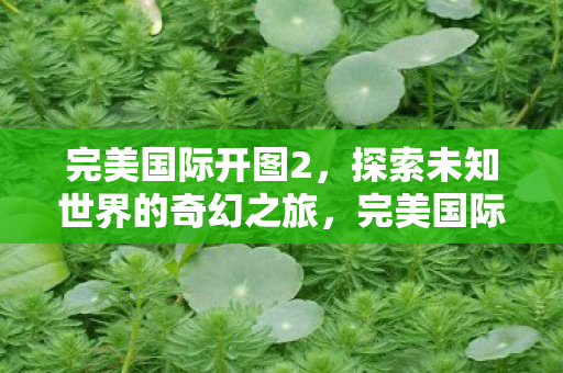 完美国际开图2,探索未知世界的奇幻之旅,完美国际开图2,探索未知世界的奇幻之旅 完美国际开图2,探索未知世界的奇幻之旅,完美国际开图2,探索未知世界的奇幻之旅