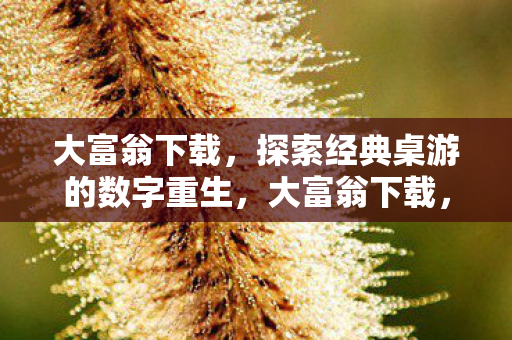 大富翁下载,探索经典桌游的数字重生,大富翁下载,经典桌游的数字重生之旅 大富翁下载,探索经典桌游的数字重生,大富翁下载,经典桌游的数字重生之旅