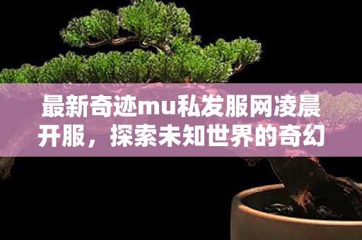 最新奇迹mu私发服网凌晨开服，探索未知世界的奇幻之旅，最新奇迹mu私发服网凌晨开服，开启奇幻冒险之旅