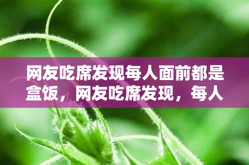 网友吃席发现每人面前都是盒饭,网友吃席发现,每人面前都是盒饭,引发关注 网友吃席发现每人面前都是盒饭,网友吃席发现,每人面前都是盒饭,引发关注
