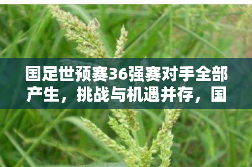 国足世预赛36强赛对手全部产生,挑战与机遇并存,国足世预赛36强赛对手出炉,挑战与机遇并存 国足世预赛36强赛对手全部产生,挑战与机遇并存,国足世预赛36强赛对手出炉,挑战与机遇并存