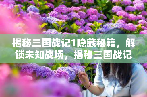 揭秘三国战记1隐藏秘籍,解锁未知战场,揭秘三国战记1隐藏秘籍,解锁未知战场 揭秘三国战记1隐藏秘籍,解锁未知战场,揭秘三国战记1隐藏秘籍,解锁未知战场