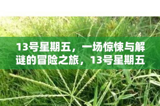 13号星期五,一场惊悚与解谜的冒险之旅,13号星期五,惊悚解谜的冒险之旅 13号星期五,一场惊悚与解谜的冒险之旅,13号星期五,惊悚解谜的冒险之旅