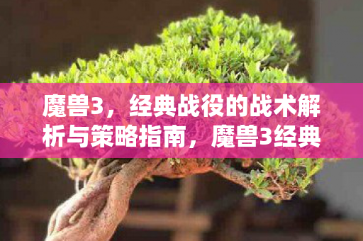 魔兽3，经典战役的战术解析与策略指南，魔兽3经典战役战术解析与策略指南