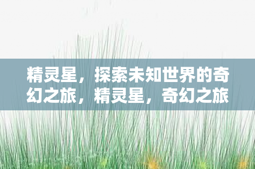 精灵星，探索未知世界的奇幻之旅，精灵星，奇幻之旅探索未知世界