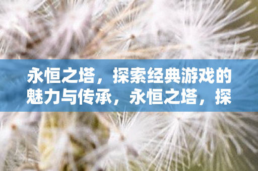 探索经典游戏的魅力与传承图片