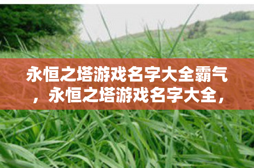 永恒之塔游戏名字大全霸气,永恒之塔游戏名字大全,打造你的霸气游戏昵称! 永恒之塔游戏名字大全霸气,永恒之塔游戏名字大全,打造你的霸气游戏昵称!