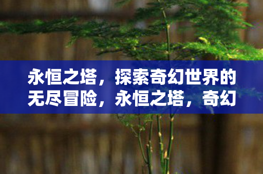 探索奇幻世界的无尽冒险图片