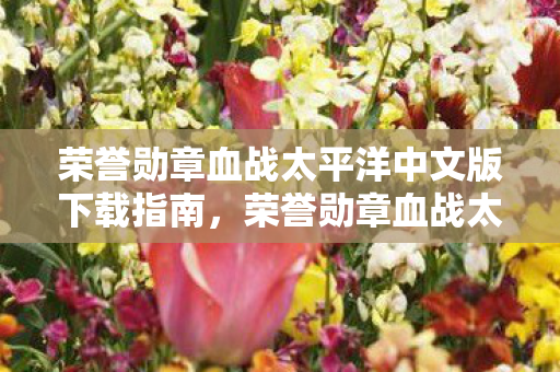 荣誉勋章血战太平洋中文版下载指南,荣誉勋章血战太平洋中文版下载全攻略 荣誉勋章血战太平洋中文版下载指南,荣誉勋章血战太平洋中文版下载全攻略