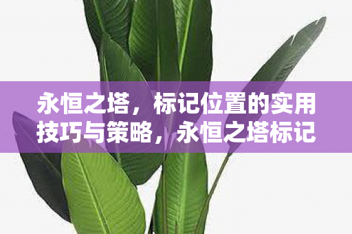 永恒之塔标记位置技巧与策略全解析图片