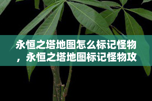 永恒之塔地图怎么标记怪物图片