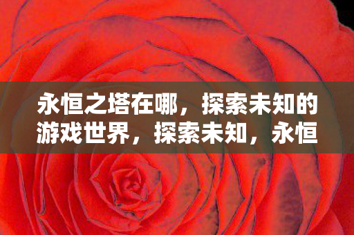 永恒之塔的游戏世界揭秘图片