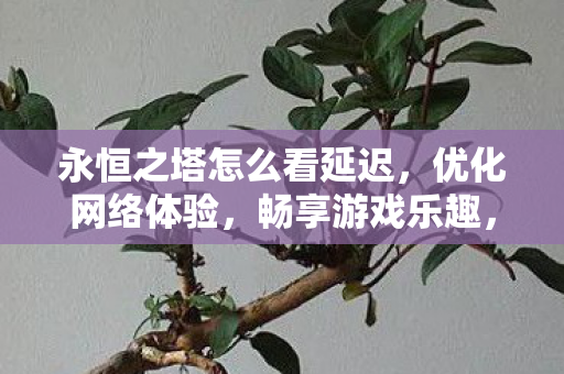 永恒之塔优化网络体验图片