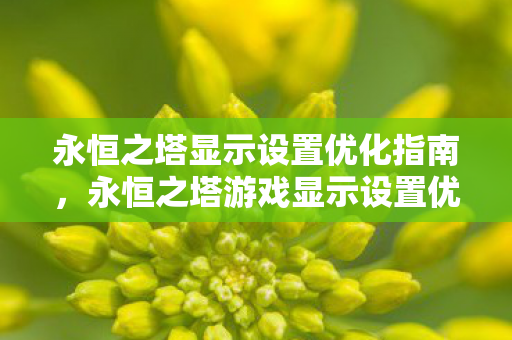 永恒之塔游戏显示设置优化全攻略图片