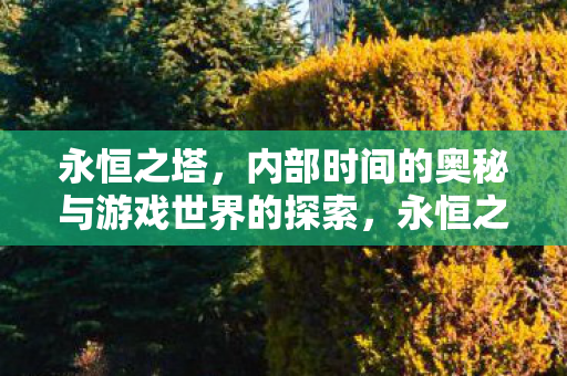 内部时间的奥秘与游戏世界的探索图片