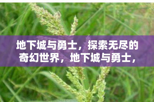地下城与勇士,探索无尽的奇幻世界,地下城与勇士,探索奇幻世界的无尽冒险 地下城与勇士,探索无尽的奇幻世界,地下城与勇士,探索奇幻世界的无尽冒险