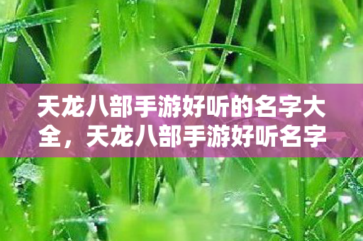 天龙八部手游好听的名字大全,天龙八部手游好听名字精选 天龙八部手游好听的名字大全,天龙八部手游好听名字精选