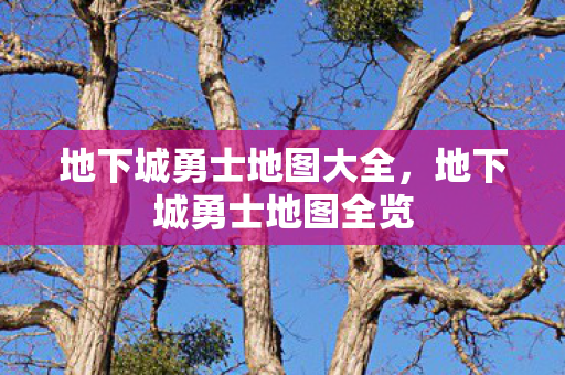 地下城勇士地图大全图片