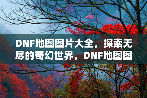 DNF地图图片大全图片