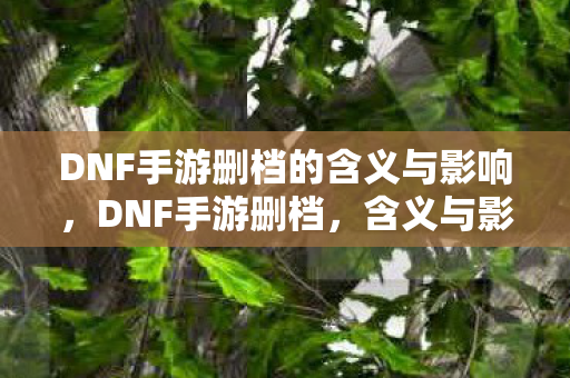 DNF手游删档的含义与影响图片