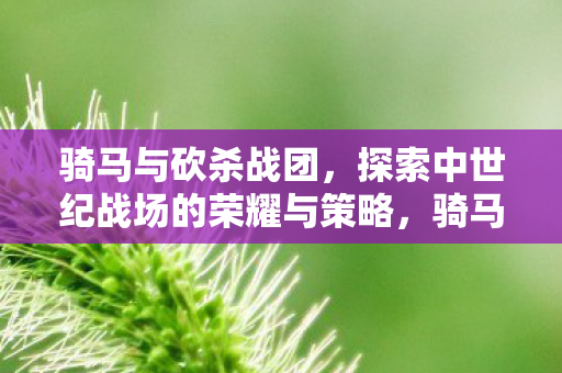 骑马与砍杀战团,探索中世纪战场的荣耀与策略,骑马与砍杀战团,探索中世纪战场的荣耀与策略 骑马与砍杀战团,探索中世纪战场的荣耀与策略,骑马与砍杀战团,探索中世纪战场的荣耀与策略