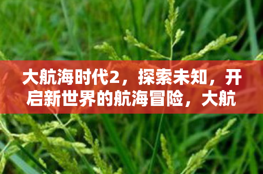 大航海时代2,探索未知,开启新世界的航海冒险,大航海时代2,探索未知,开启新世界的航海冒险 大航海时代2,探索未知,开启新世界的航海冒险,大航海时代2,探索未知,开启新世界的航海冒险