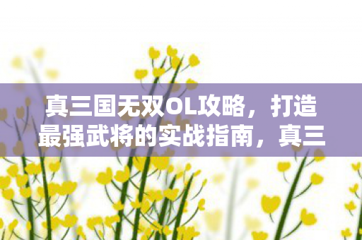 真三国无双OL攻略,打造最强武将的实战指南,真三国无双OL实战攻略,打造最强武将的终极指南 真三国无双OL攻略,打造最强武将的实战指南,真三国无双OL实战攻略,打造最强武将的终极指南