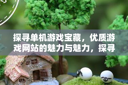 探寻单机游戏宝藏，优质游戏网站的魅力与魅力，探寻单机游戏宝藏，优质游戏网站的魅力与魅力