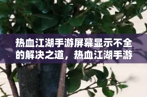 热血江湖手游屏幕显示不全的解决之道图片