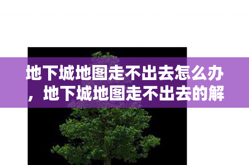 地下城地图走不出去的解决办法图片