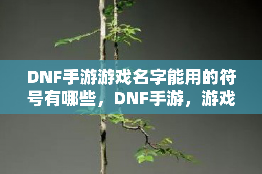 DNF手游游戏名字能用的符号有哪些,DNF手游,游戏名字可用符号全解析 DNF手游游戏名字能用的符号有哪些,DNF手游,游戏名字可用符号全解析