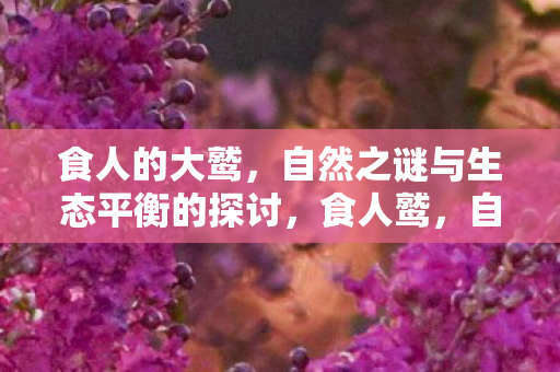 食人的大鹫,自然之谜与生态平衡的探讨,食人鹫,自然之谜与生态平衡的挑战 食人的大鹫,自然之谜与生态平衡的探讨,食人鹫,自然之谜与生态平衡的挑战