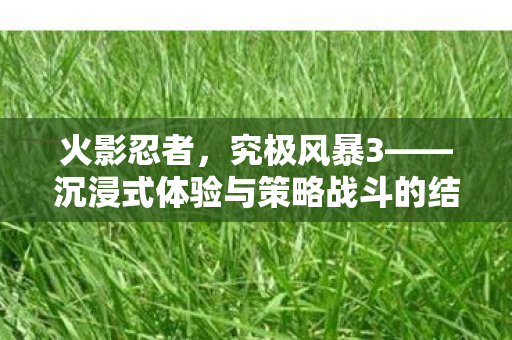 火影忍者,究极风暴3——沉浸式体验与策略战斗的结合,火影忍者,究极风暴3沉浸式体验与策略战斗完美融合 火影忍者,究极风暴3——沉浸式体验与策略战斗的结合,火影忍者,究极风暴3沉浸式体验与策略战斗完美融合