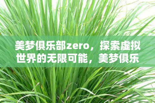 美梦俱乐部zero，探索虚拟世界的无限可能，美梦俱乐部zero，探索虚拟世界的无限可能